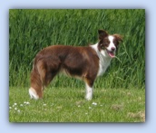 juni 2005